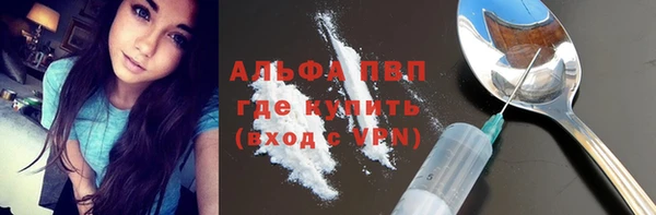PSILOCYBIN Верхний Тагил