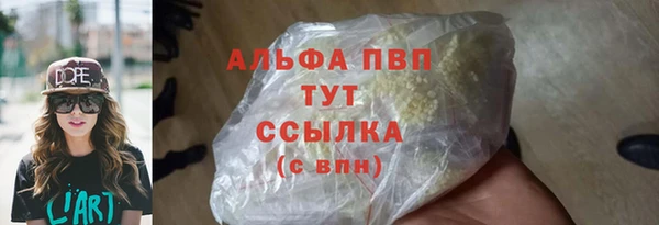 PSILOCYBIN Верхний Тагил