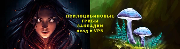 PSILOCYBIN Верхний Тагил