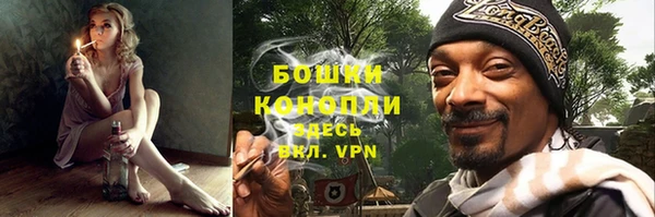 PSILOCYBIN Верхний Тагил