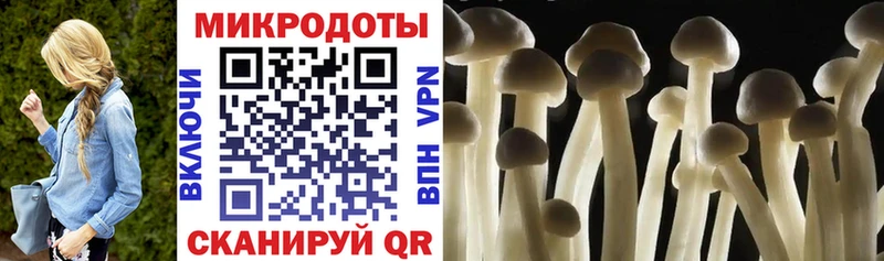 Псилоцибиновые грибы Cubensis  blacksprut зеркало  Ишим 